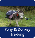 Pony & Donkey Trekking, Morzine & St Jean D'Aulps